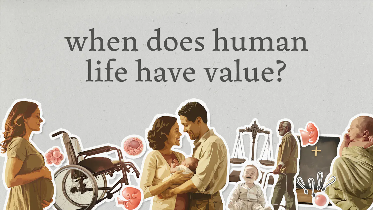 Human Value Decreasing When Does Human Life Have Value? | The Value of Human Life - The Value ...