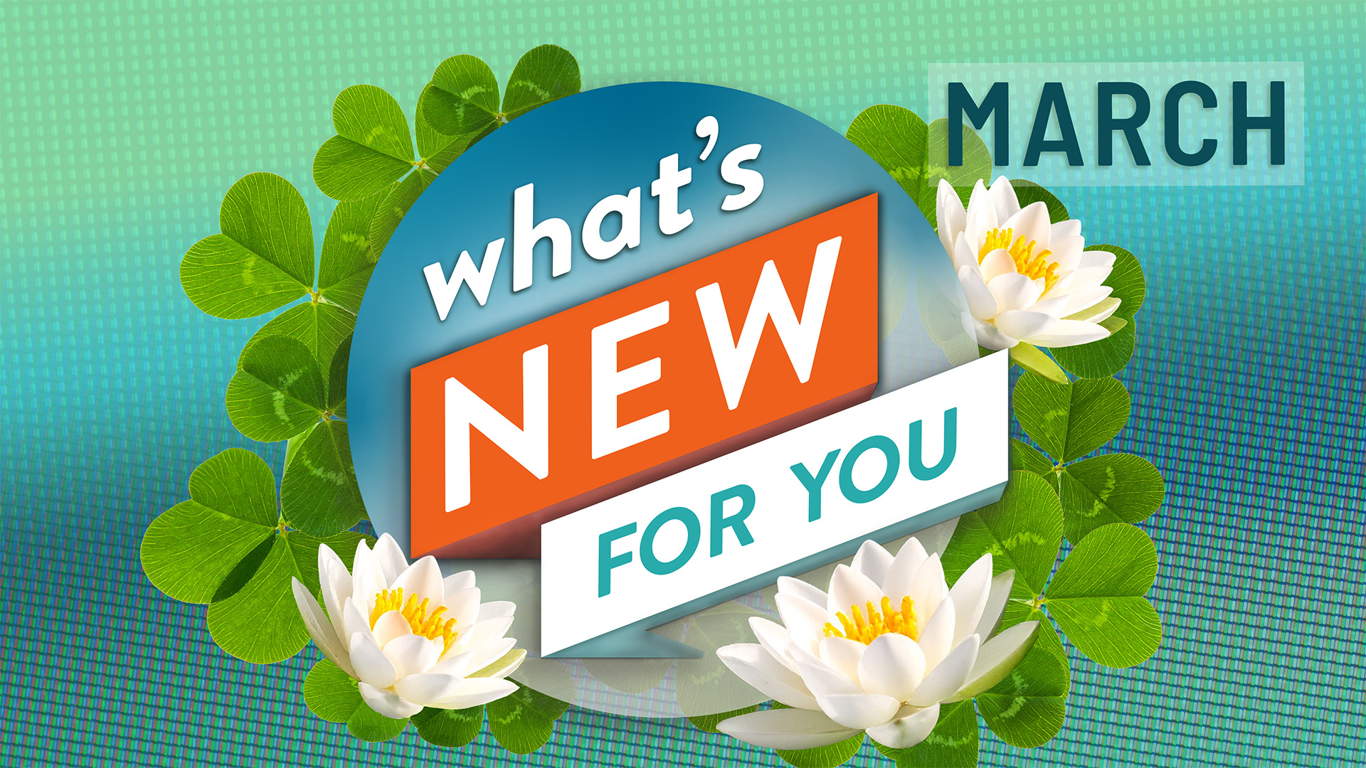 What's New for You | March