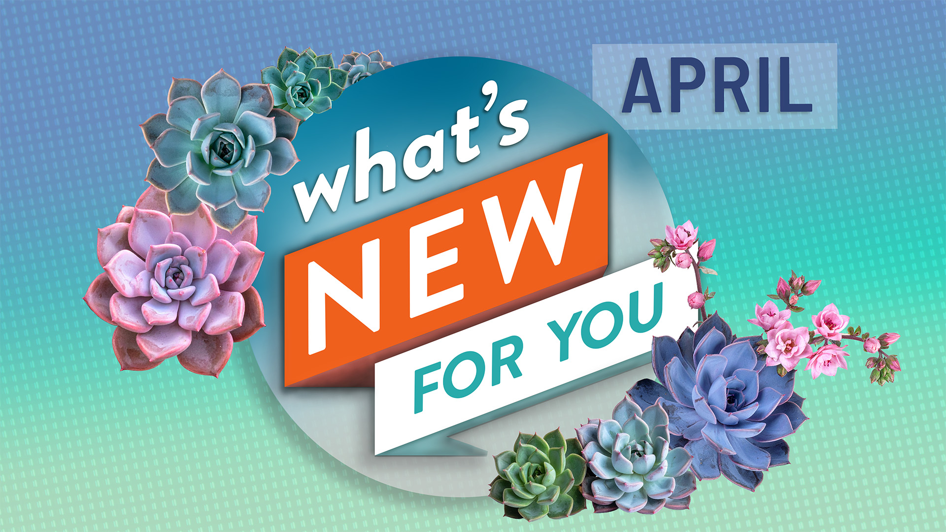 What's New For You | April