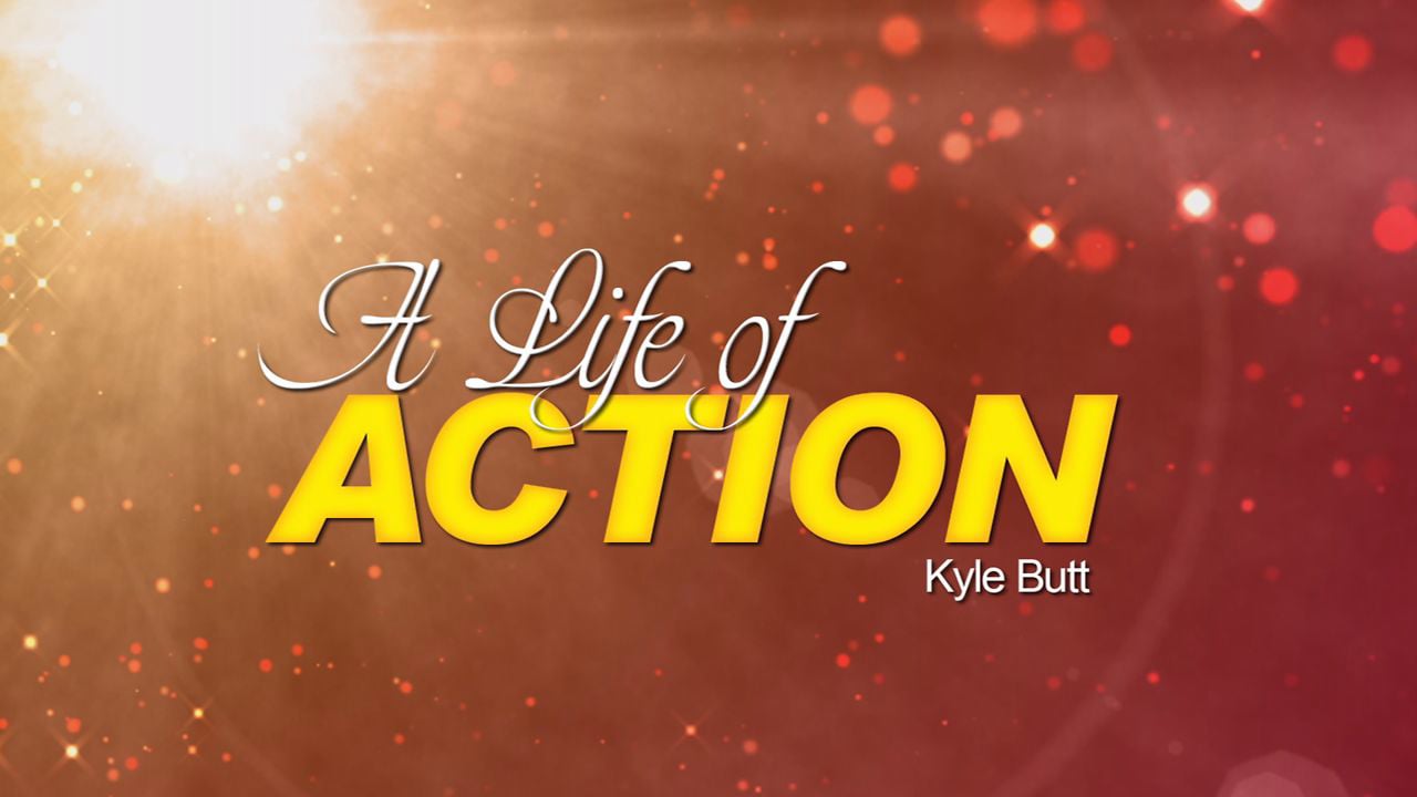 A Life of Action