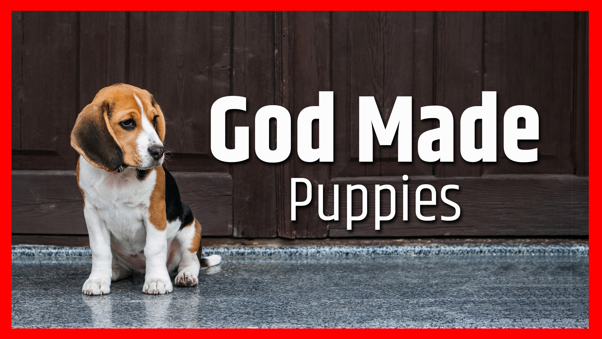 God Made Puppies