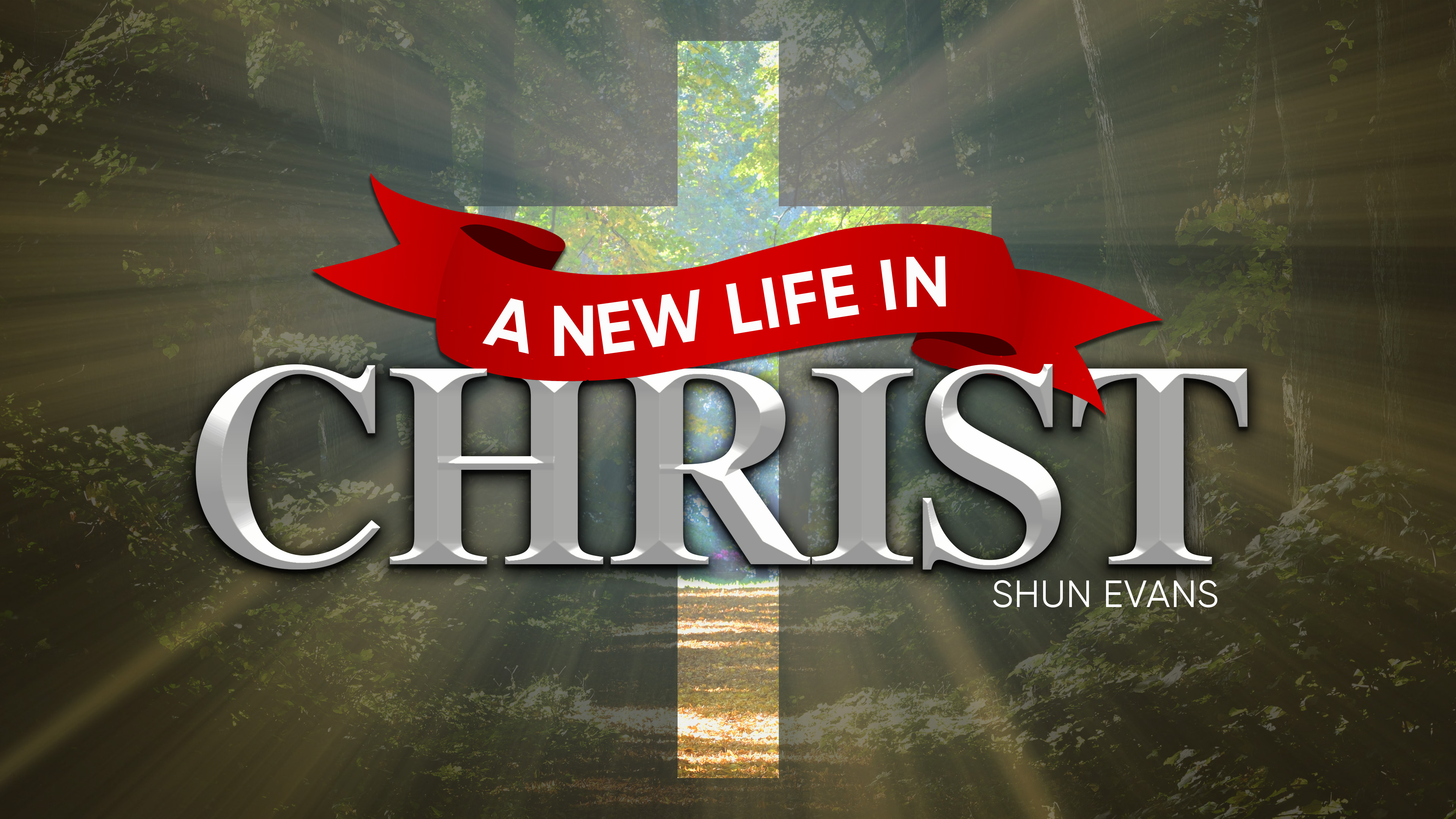 A New Life in Christ
