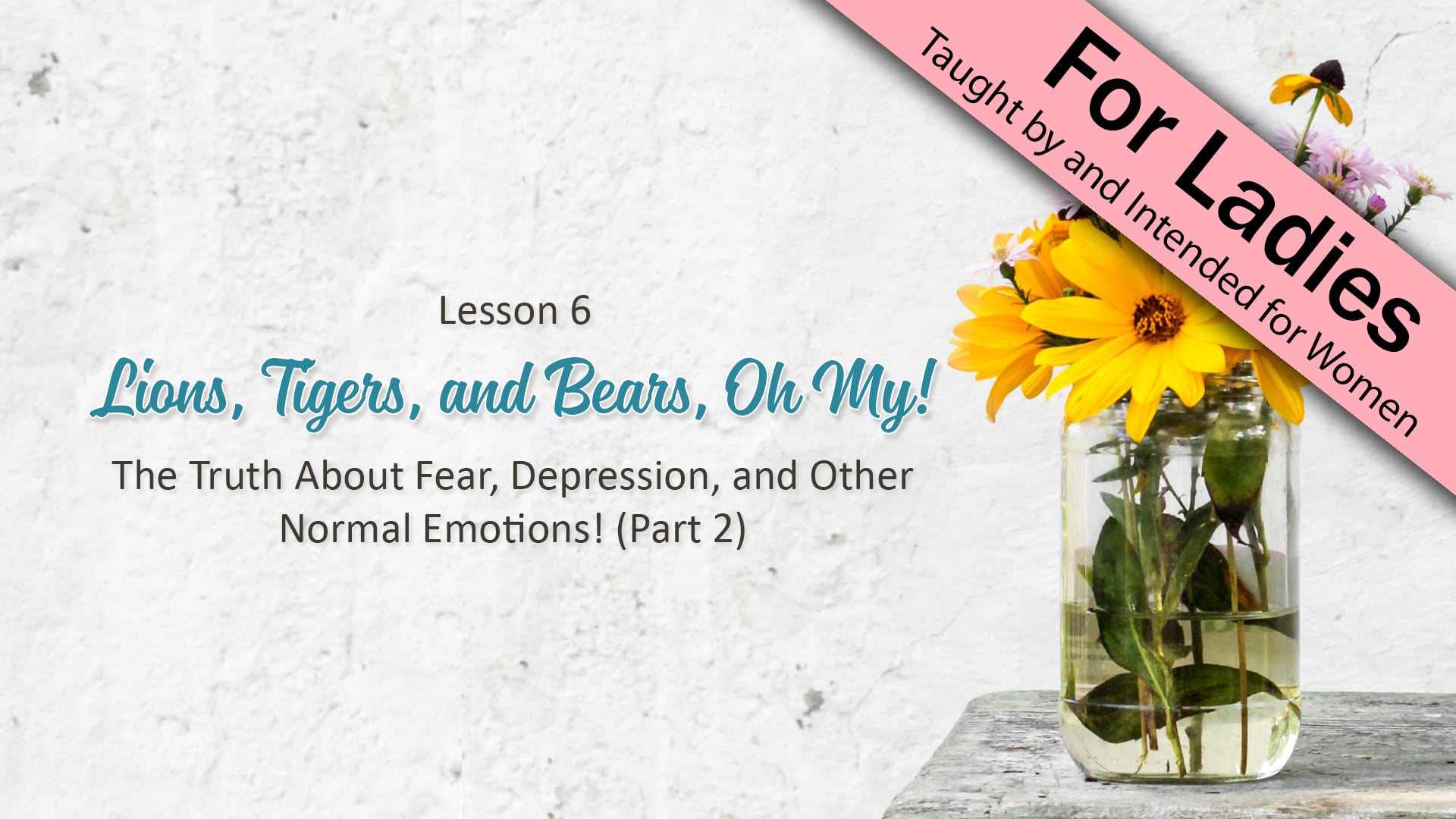 Side by Side - Lesson 6: Lions, Tigers, and Bears, Oh My! (Part 2)