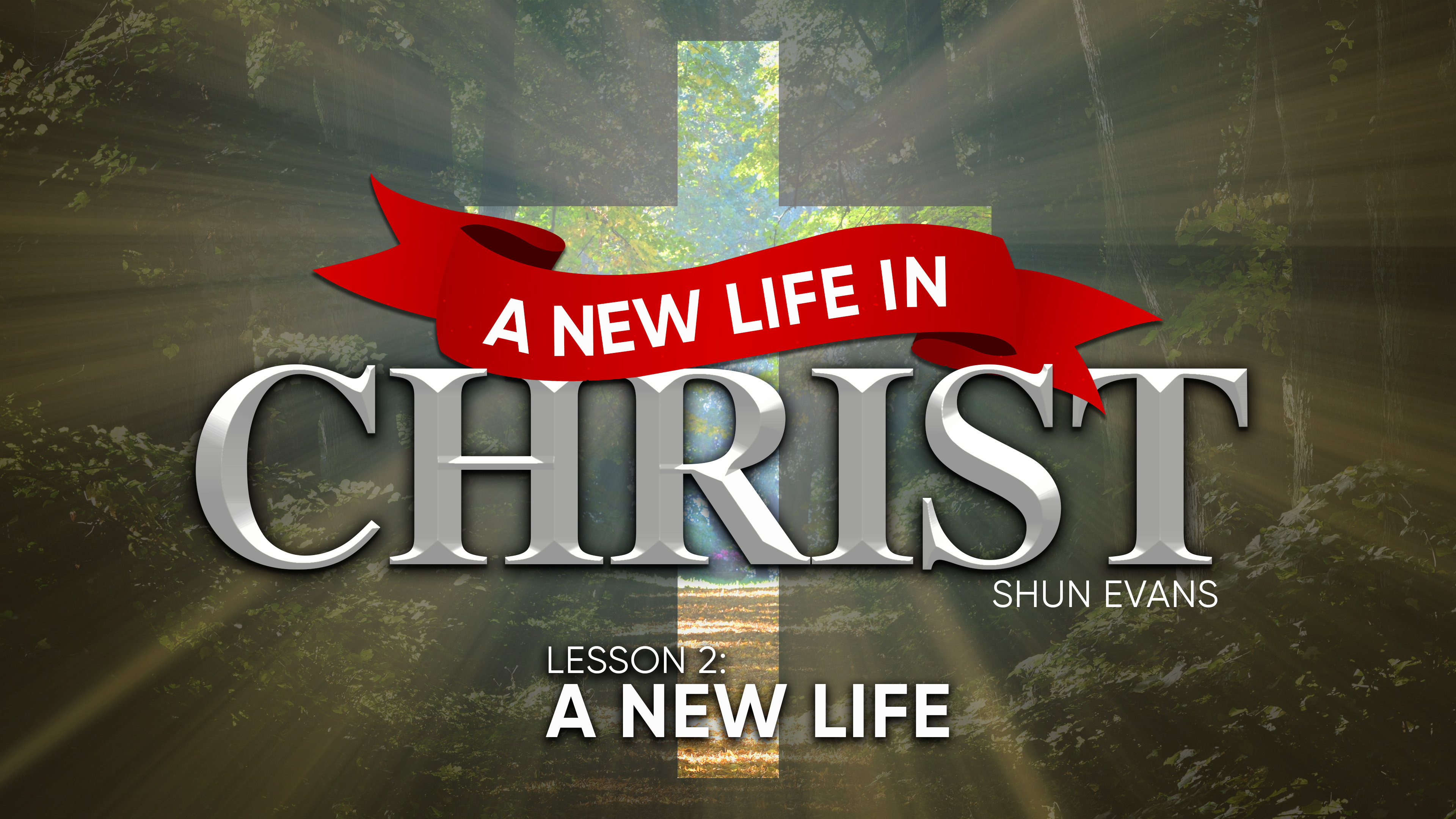 Lesson 2: A New Life | A New Life in Christ