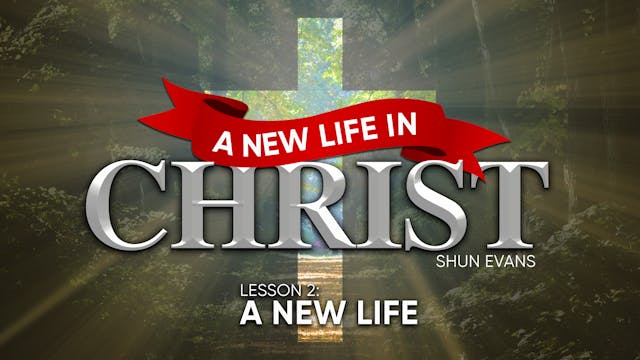 Lesson 2: A New Life | A New Life in ...