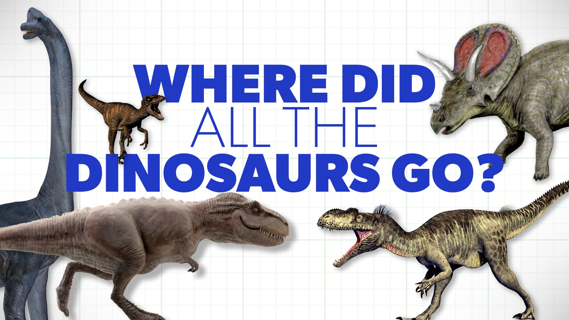 Where Did All the Dinosaurs Go?