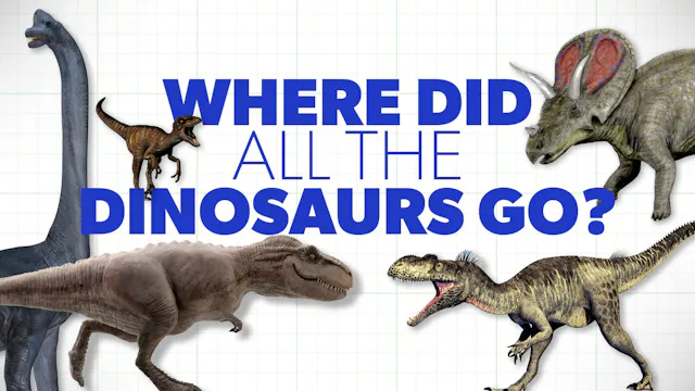 Where Did All the Dinosaurs Go?