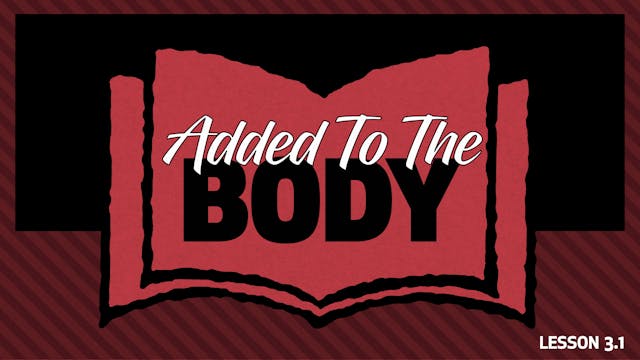 Additional Study 1: Added To The Body...