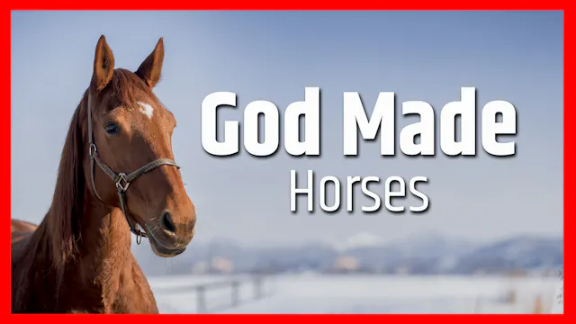 God Made Horses