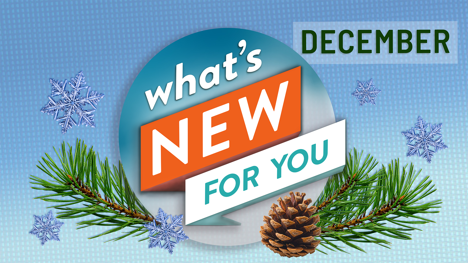 What's New For You | December