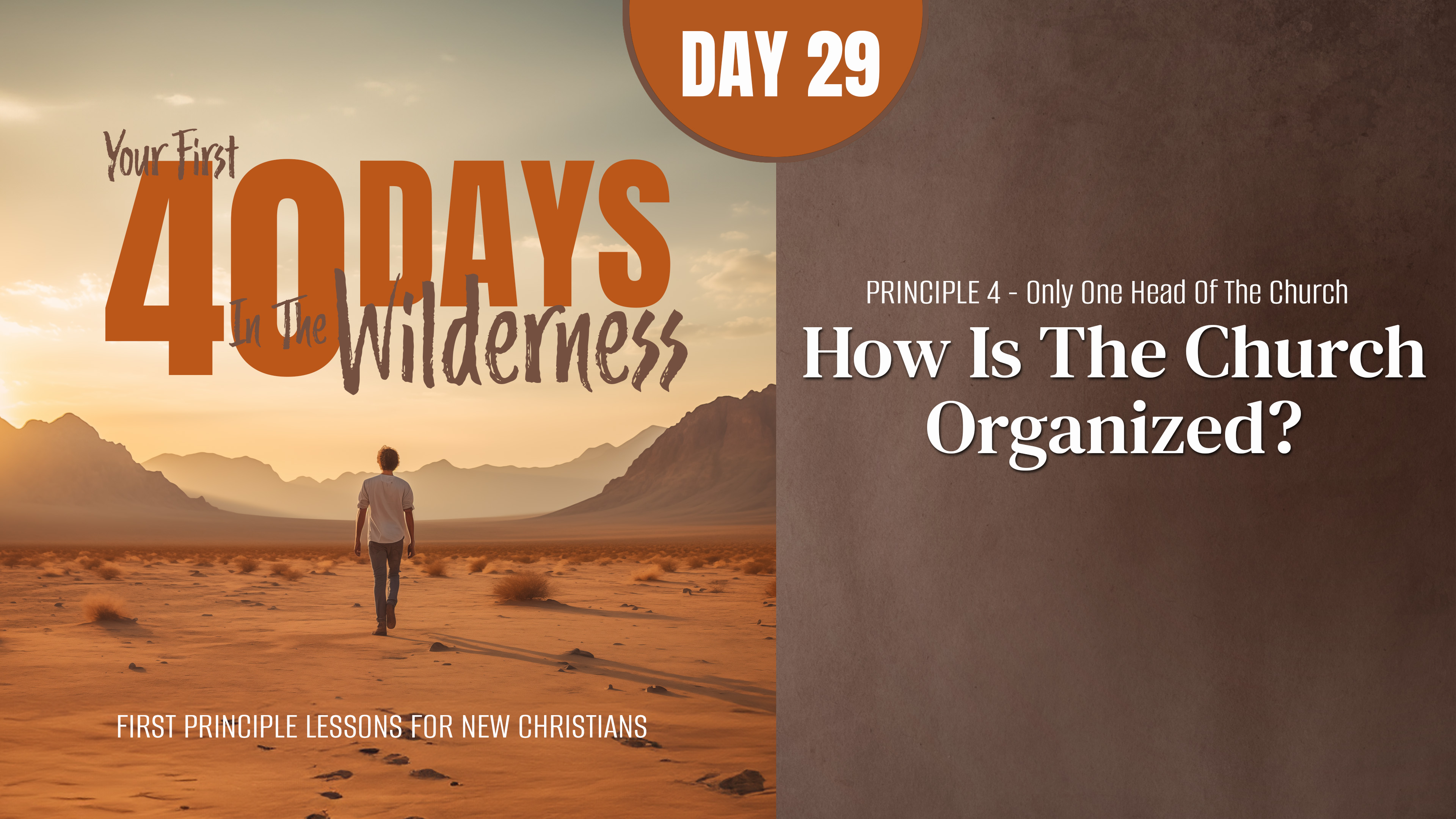 Day 29: How Is the Church Organized?
