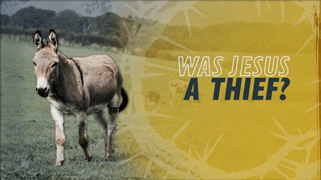 Was Jesus a Thief? | Why Jesus?