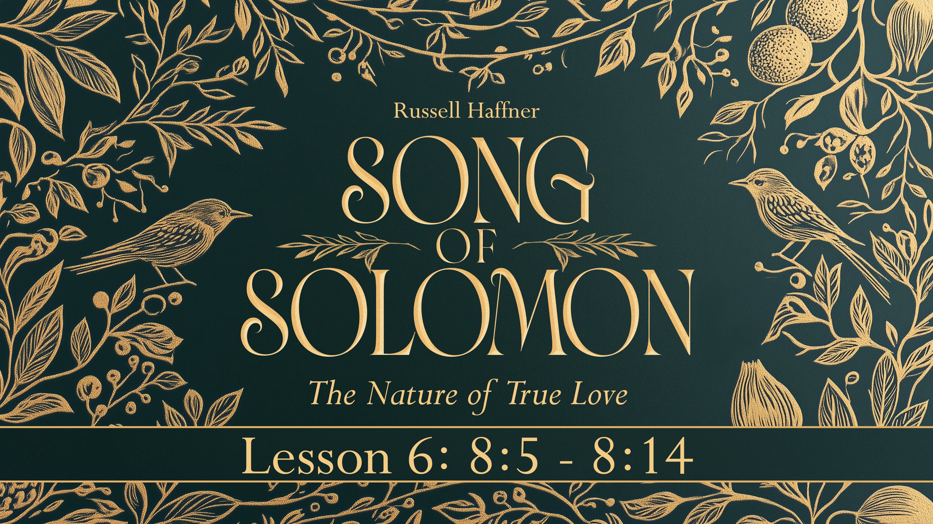 Lesson 6 | Song of Solomon