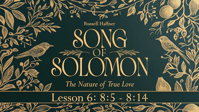 Lesson 6 | Song of Solomon
