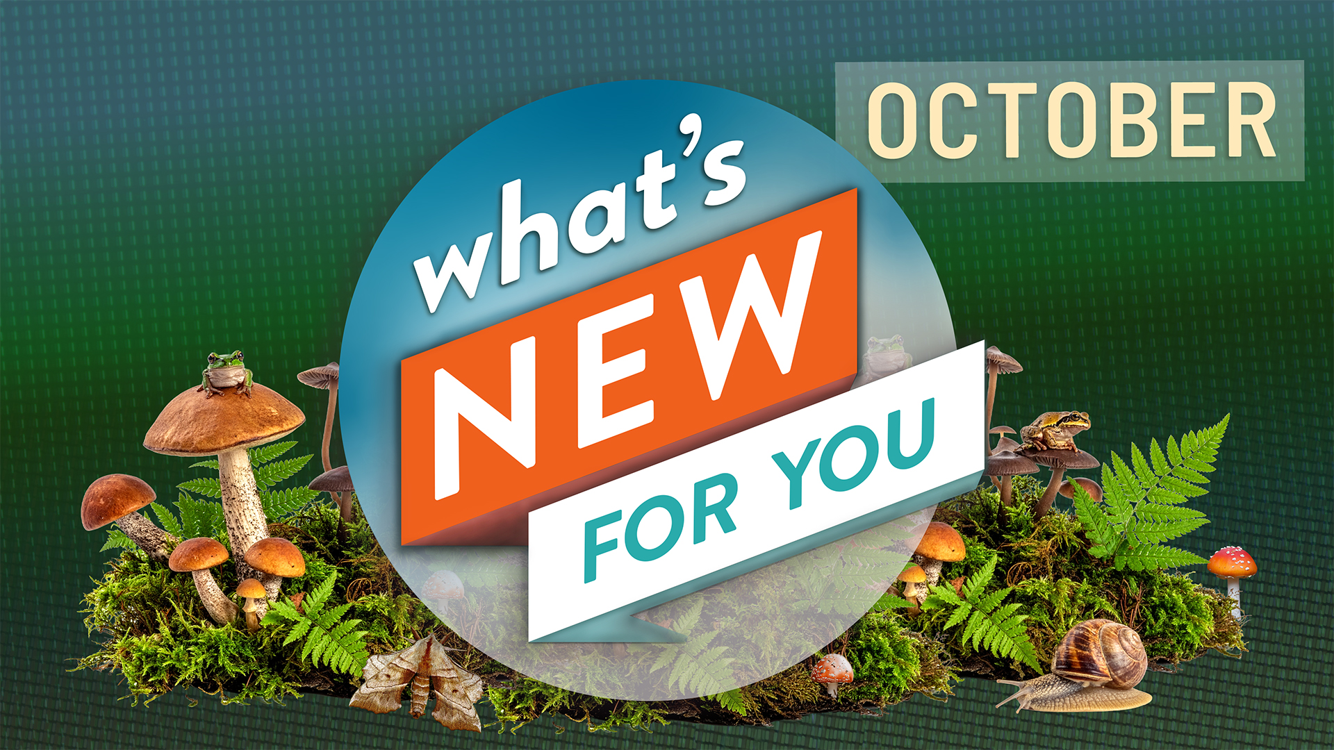What's New for You | October