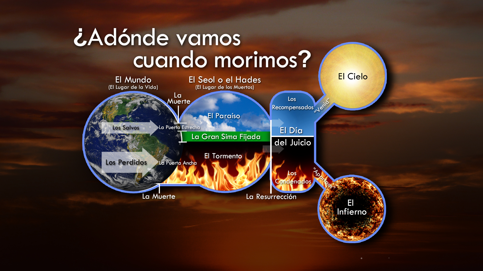 ¿Adónde Vamos Cuando Morimos?