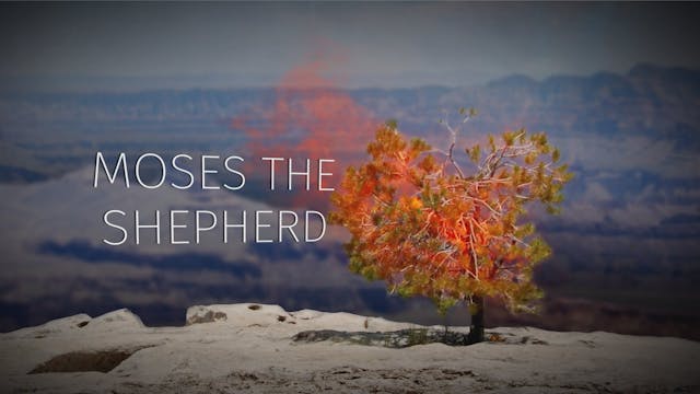 Part 2: Moses the Shepherd | Story of...