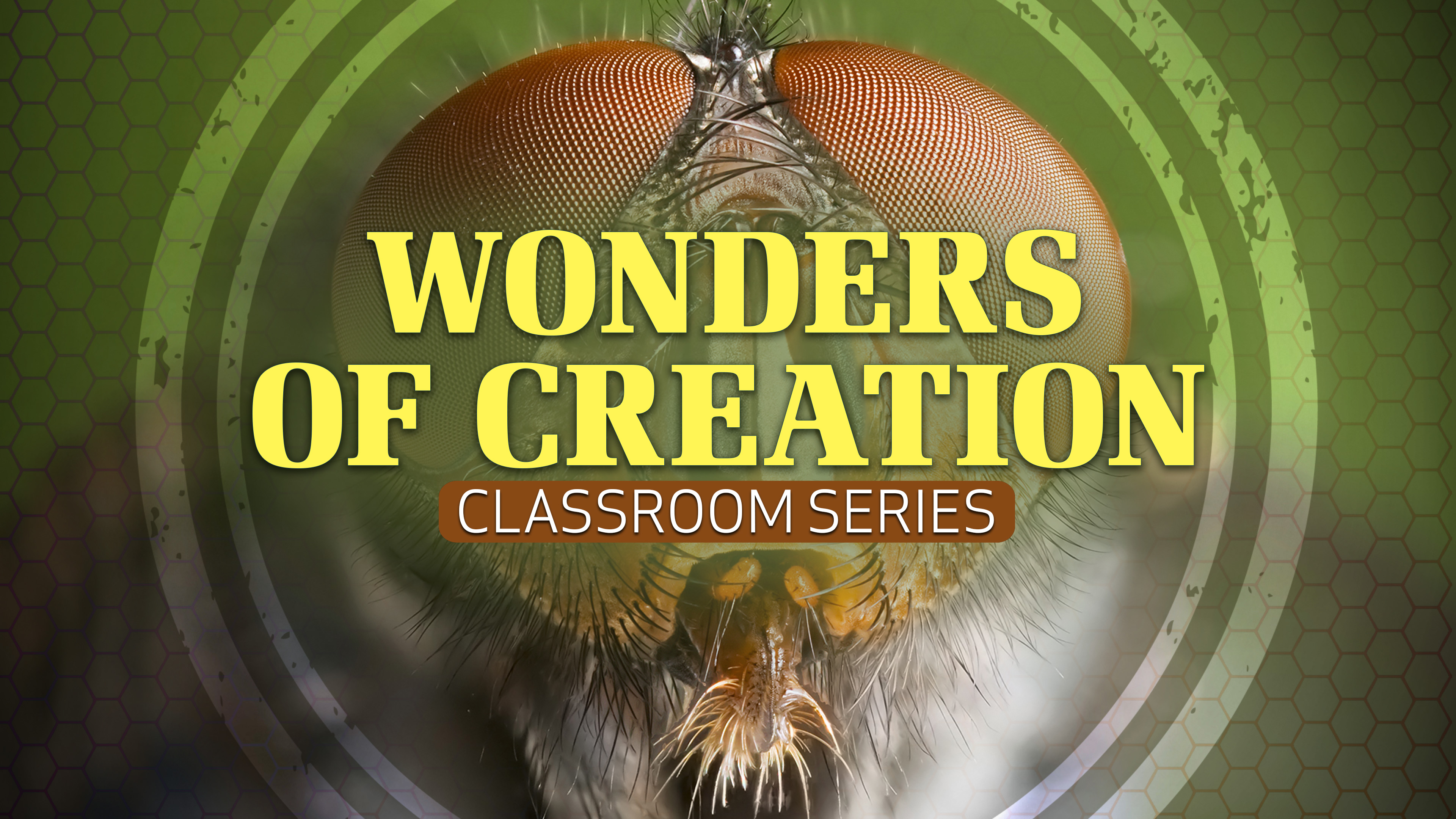 Wonders of Creation: Classroom Series