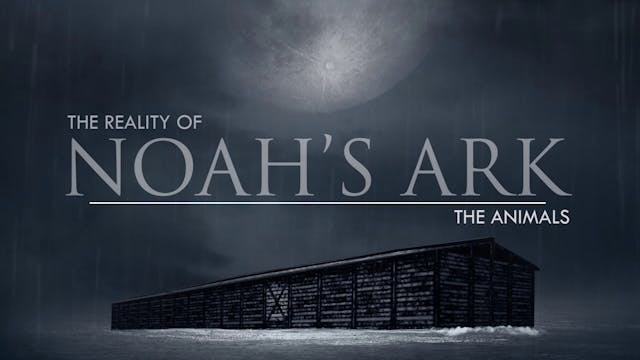 2. The Animals| The Reality of Noah's...
