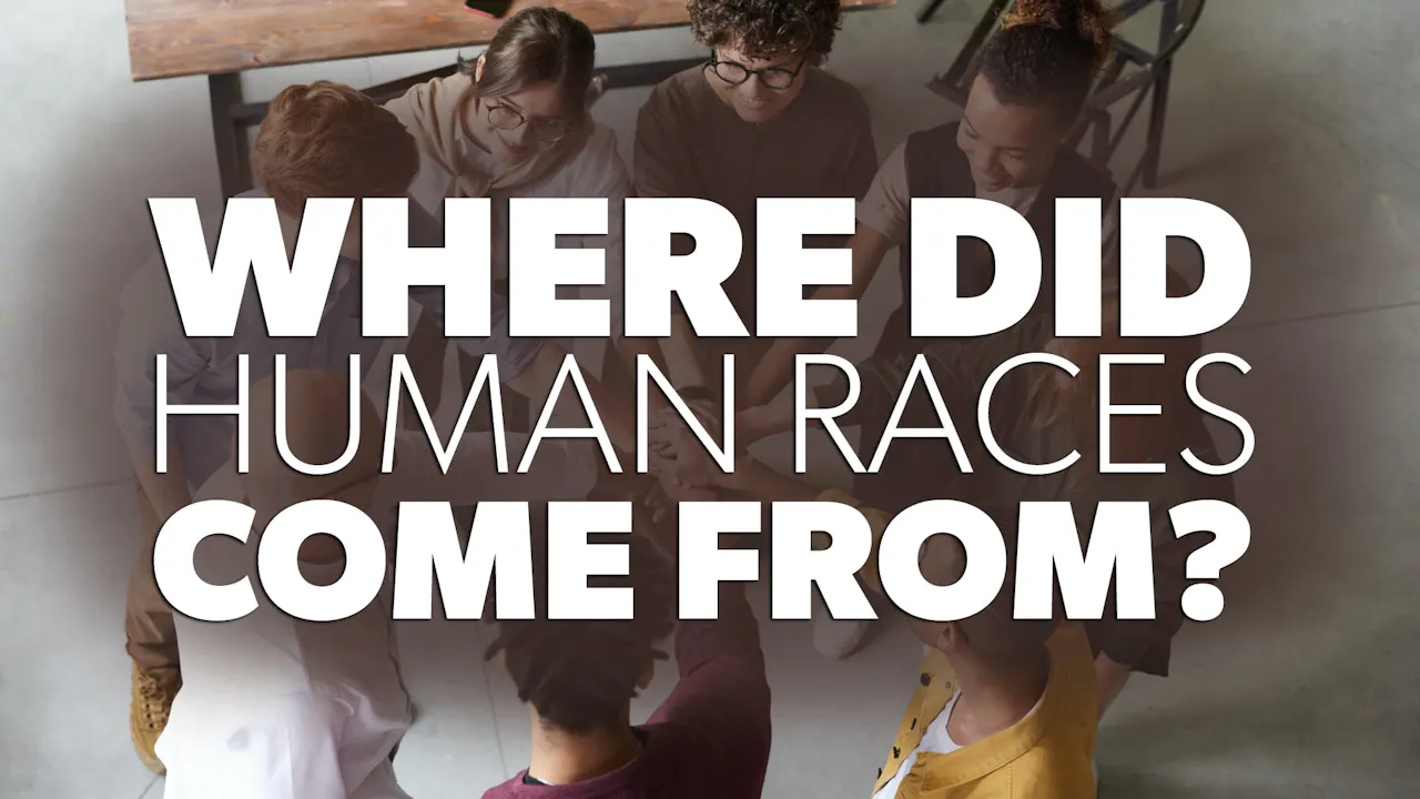 Where Did Human Races Come From? - WVBS