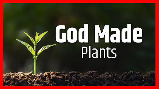 God Made Plants