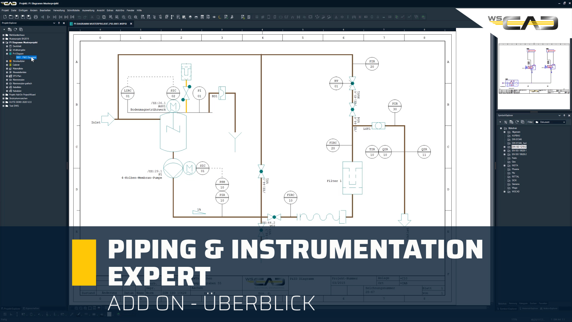 Piping & Instrumentation Expert