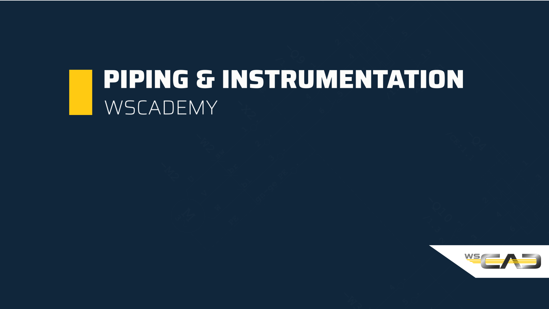 Piping & Instrumentation