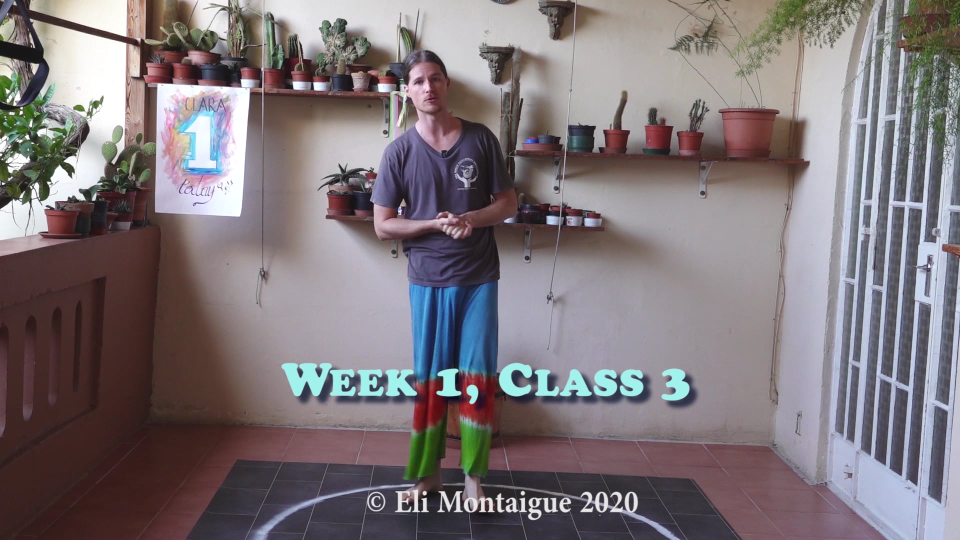 Taiji Week 1 Class 3