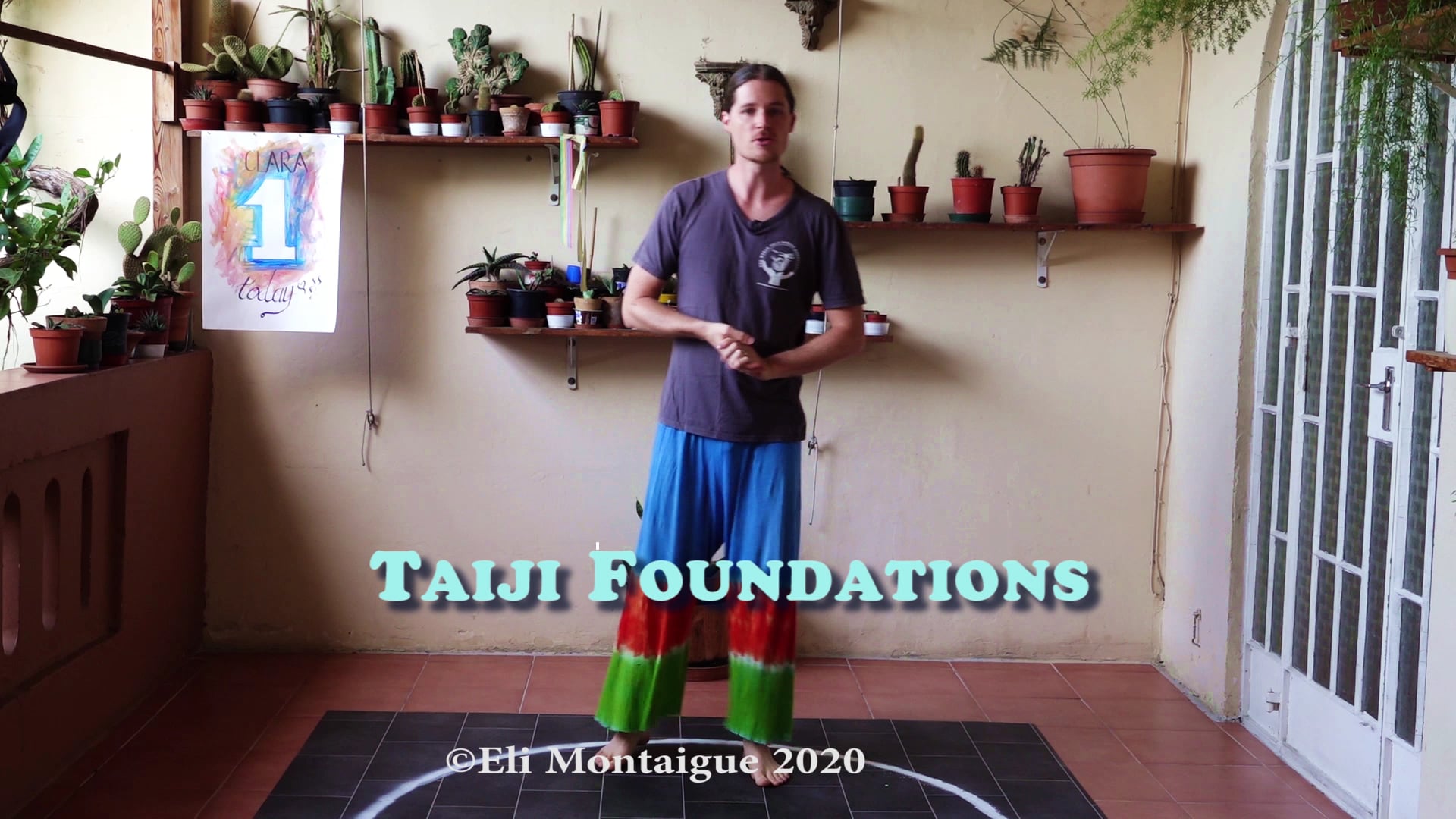 Taiji Week 1 Class 2