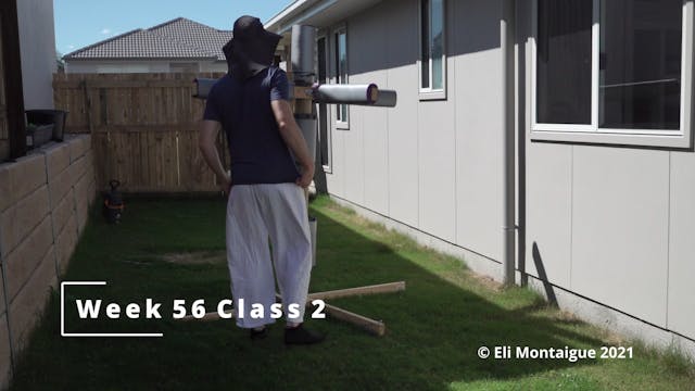 Bagua Week 56 Class 2