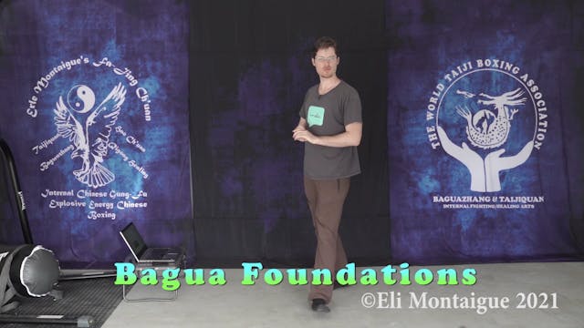 Bagua Week 47 Class 1
