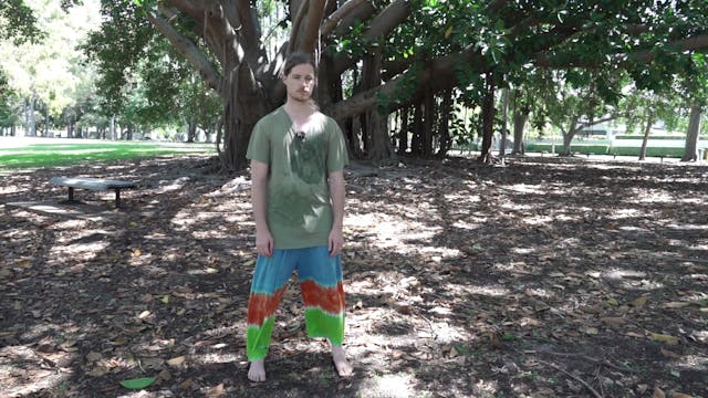 Guided Qigong 1