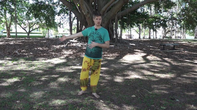 Taiji Week 14 Class 3