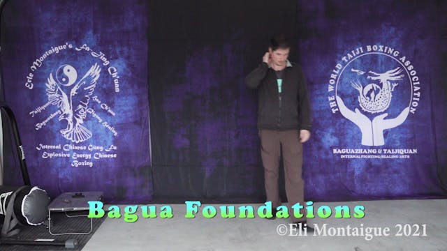 Bagua Week 47 Class 3