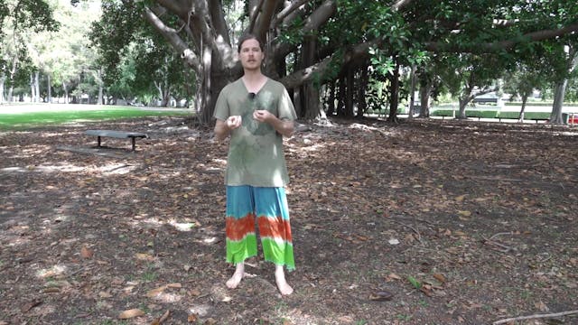 Bagua Week 6 Class 1