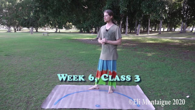 Bagua Week 6 Class 3