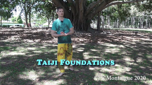 Taiji Week 14 Class 1