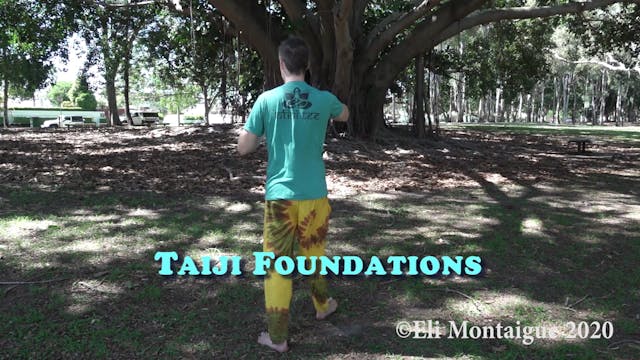 Taiji Week 14 Class 2