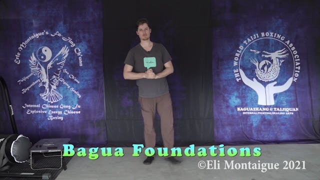 Bagua Week 47 Class 2