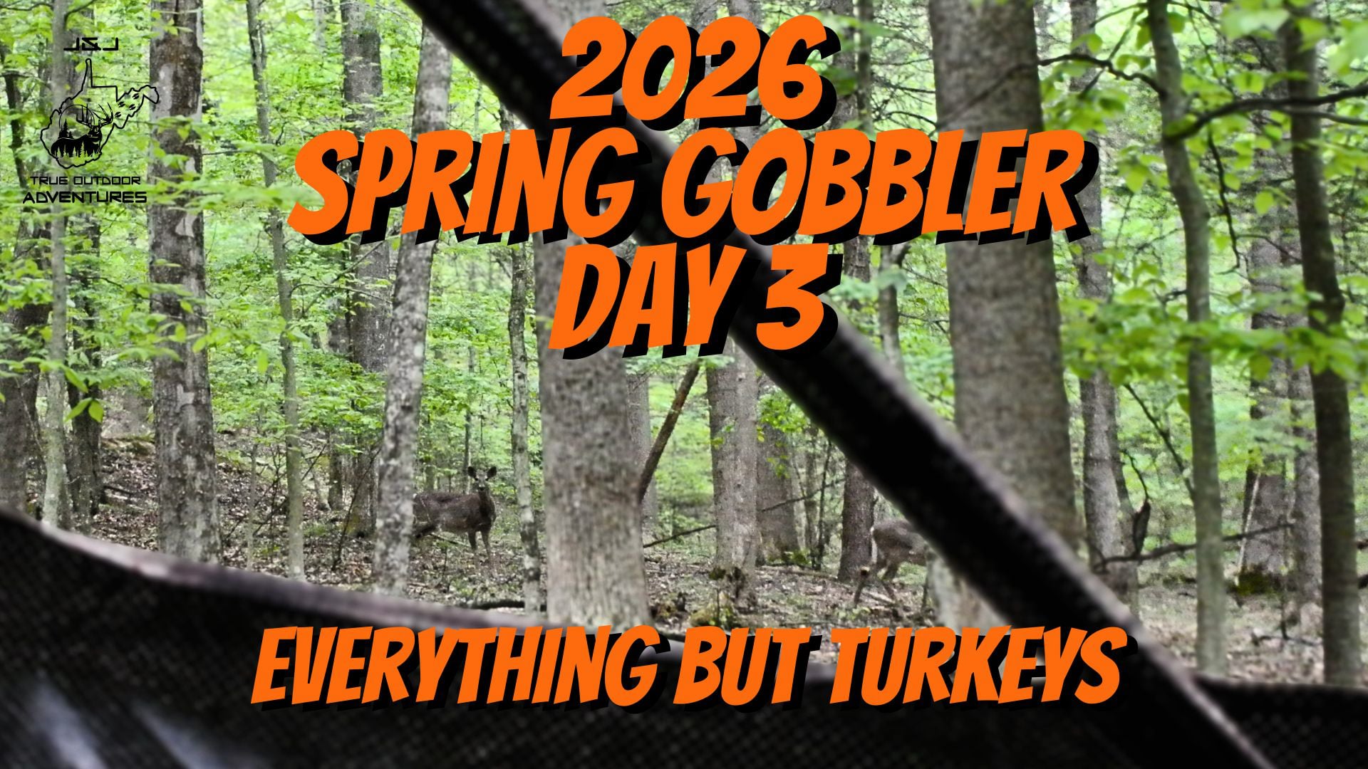 2026 Turkey Season - 3rd Hunt