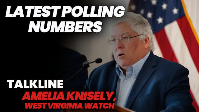 Amelia Ferrell Knisely on Polling Num...
