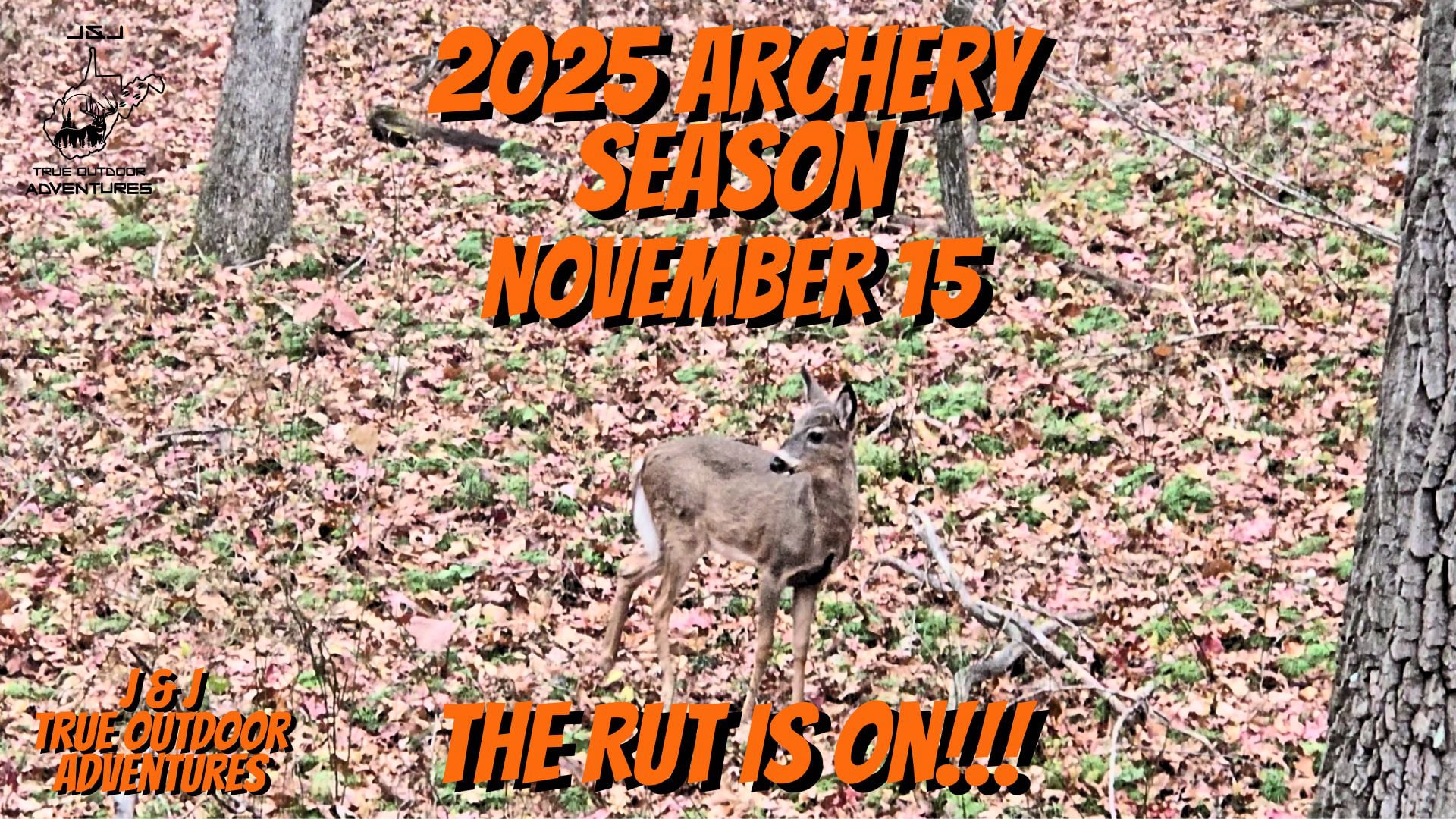 November 15 2025 - Rut