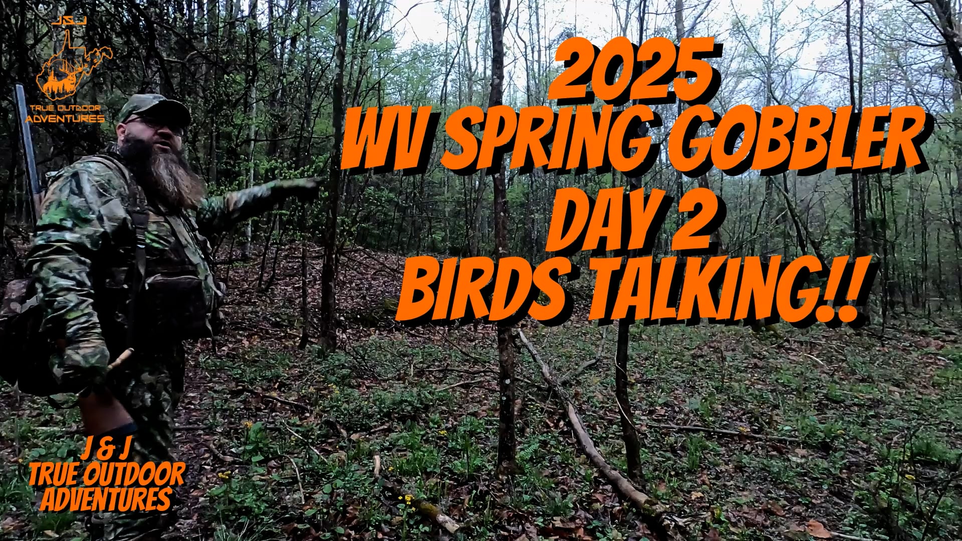 Day 2: Birds Talking