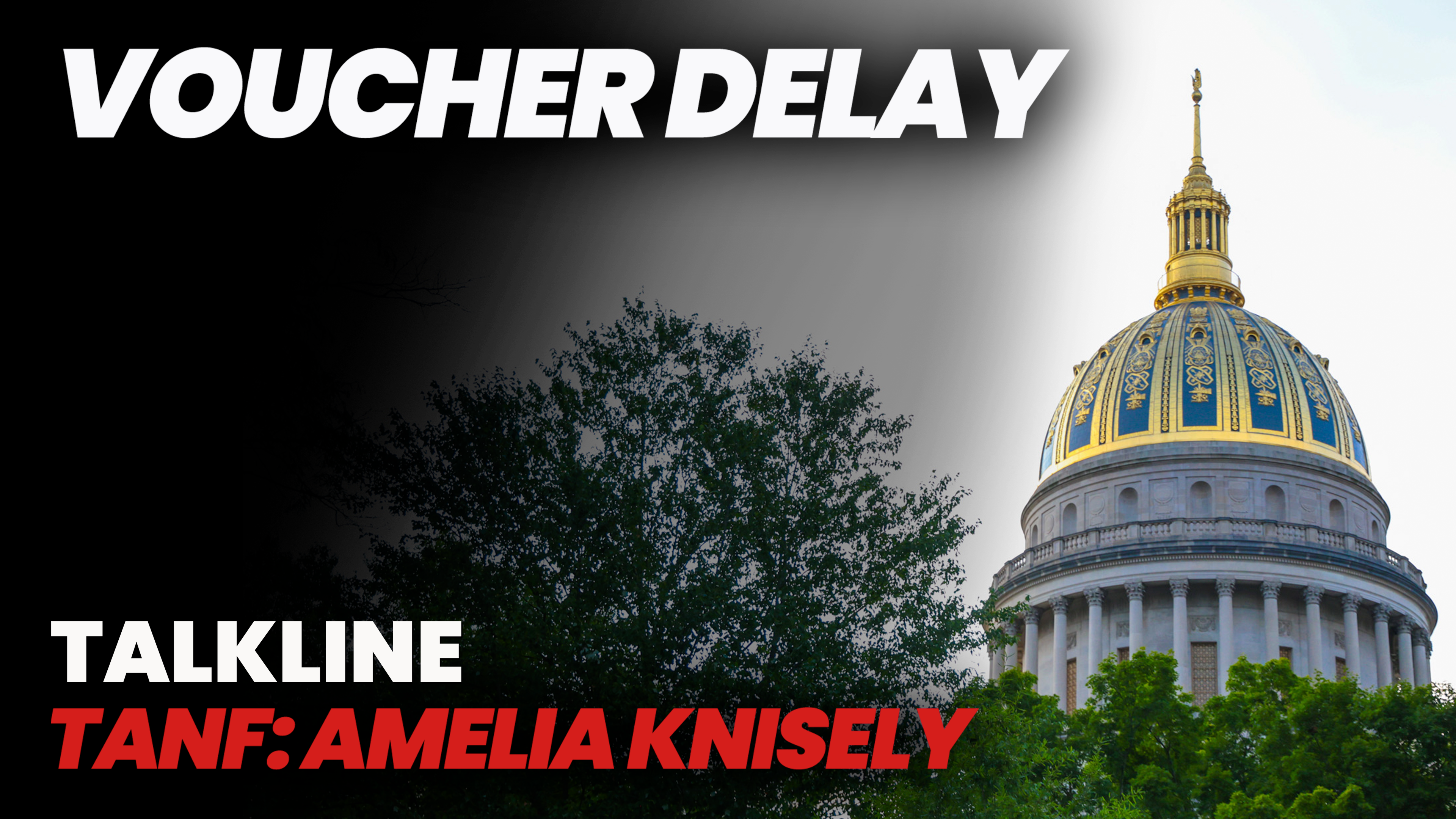 Amelia Ferrell Knisely on TANF Funds