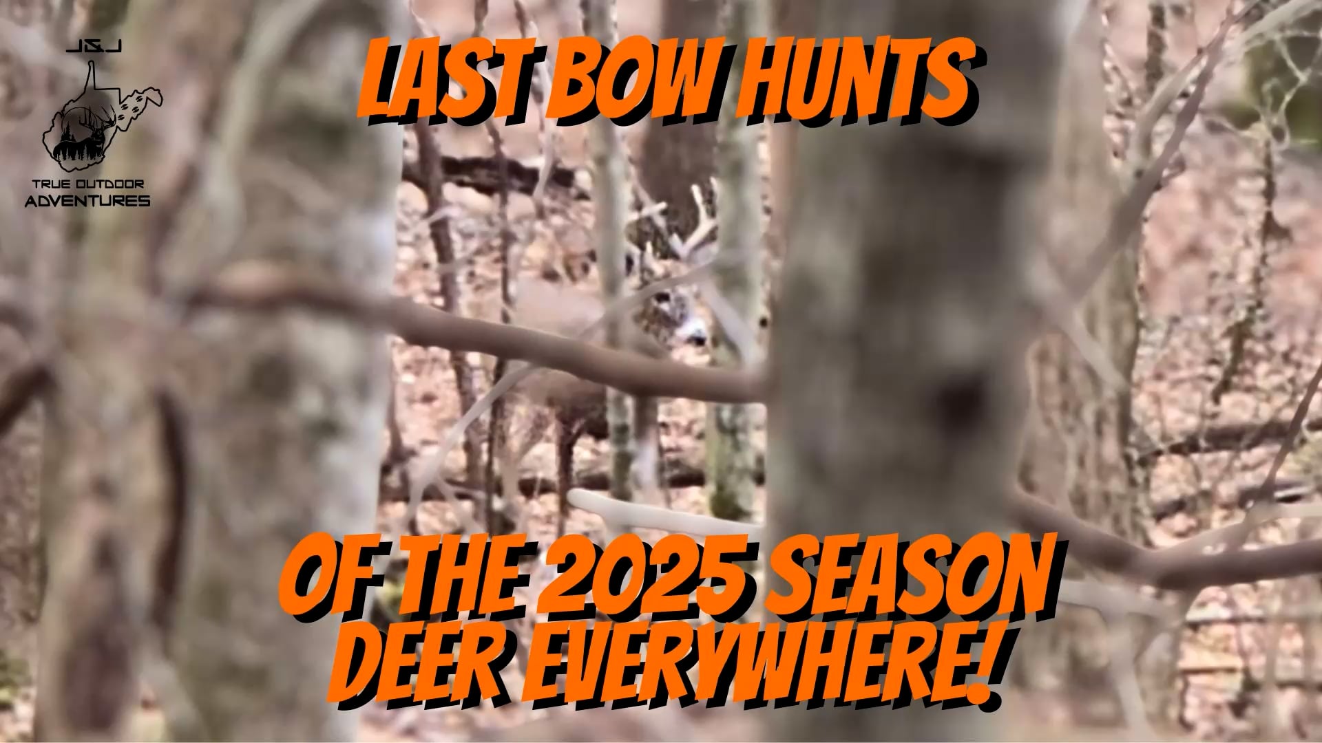 Last Bow Hunts of 2025 - Deer Everywhere
