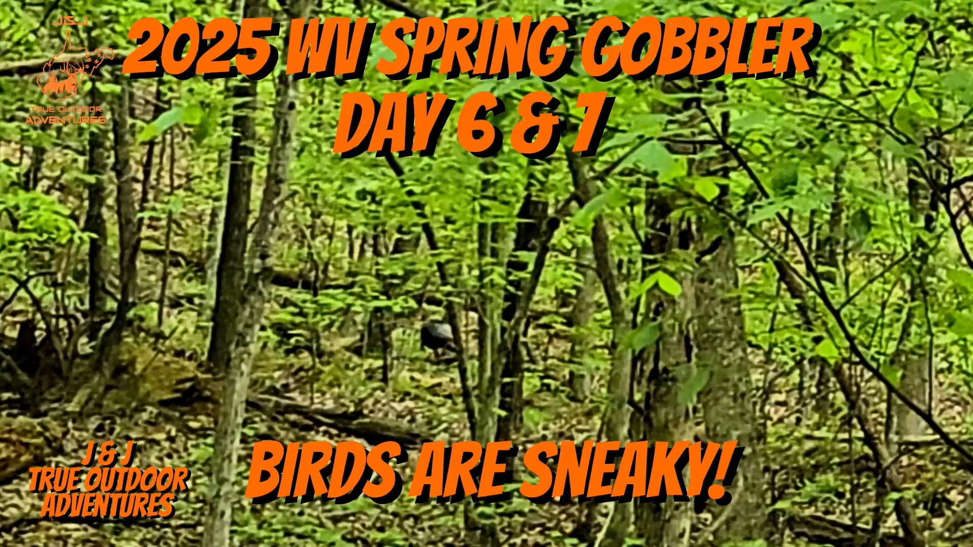 2025 WV Spring Gobbler Day 6 & 7 - Birds are Sneaky!!