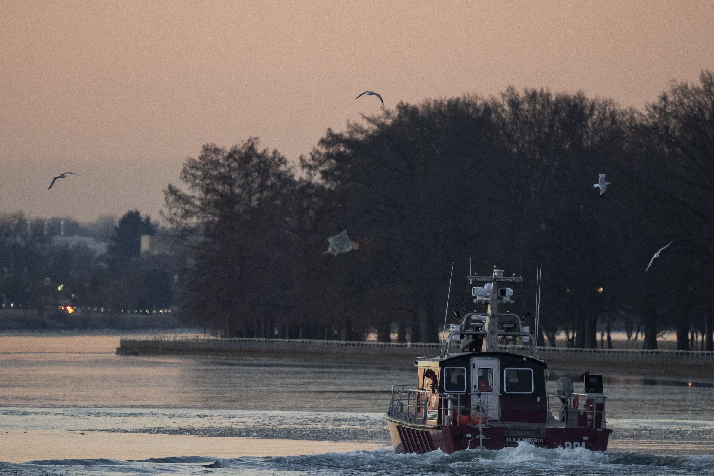 Ryan Schmelz on Reagan Airport Crash