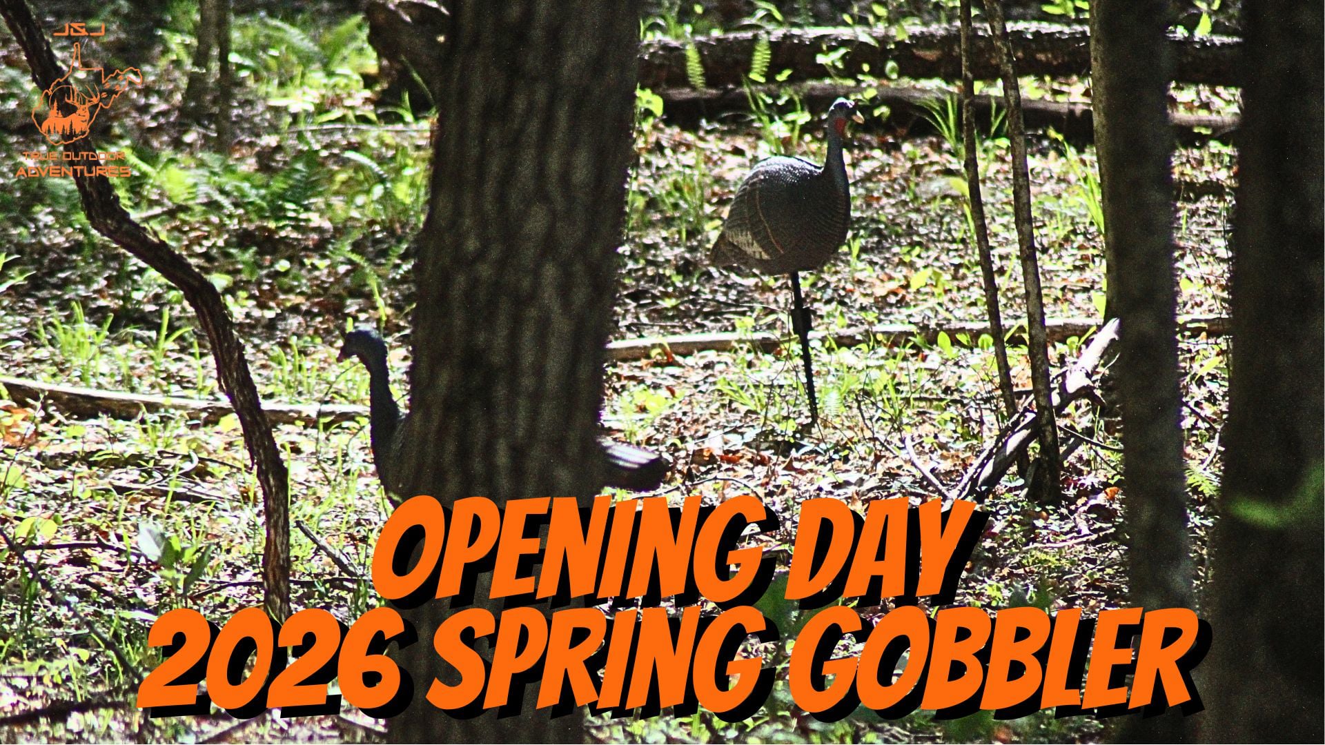 Opening Day - 2026 Spring Gobbler Season
