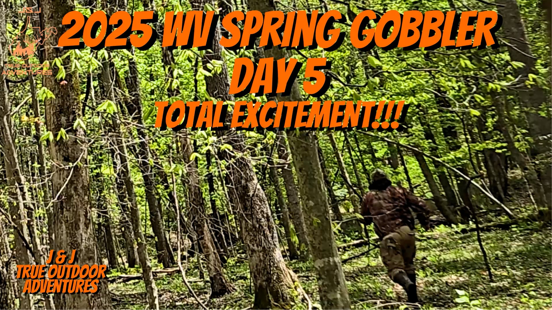 Day 5: Total Excitement