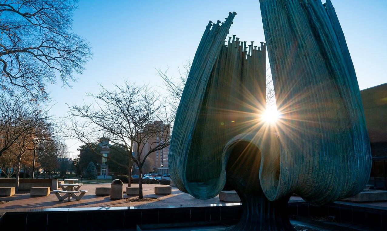 Talkline for Thursday, November 14, 2024